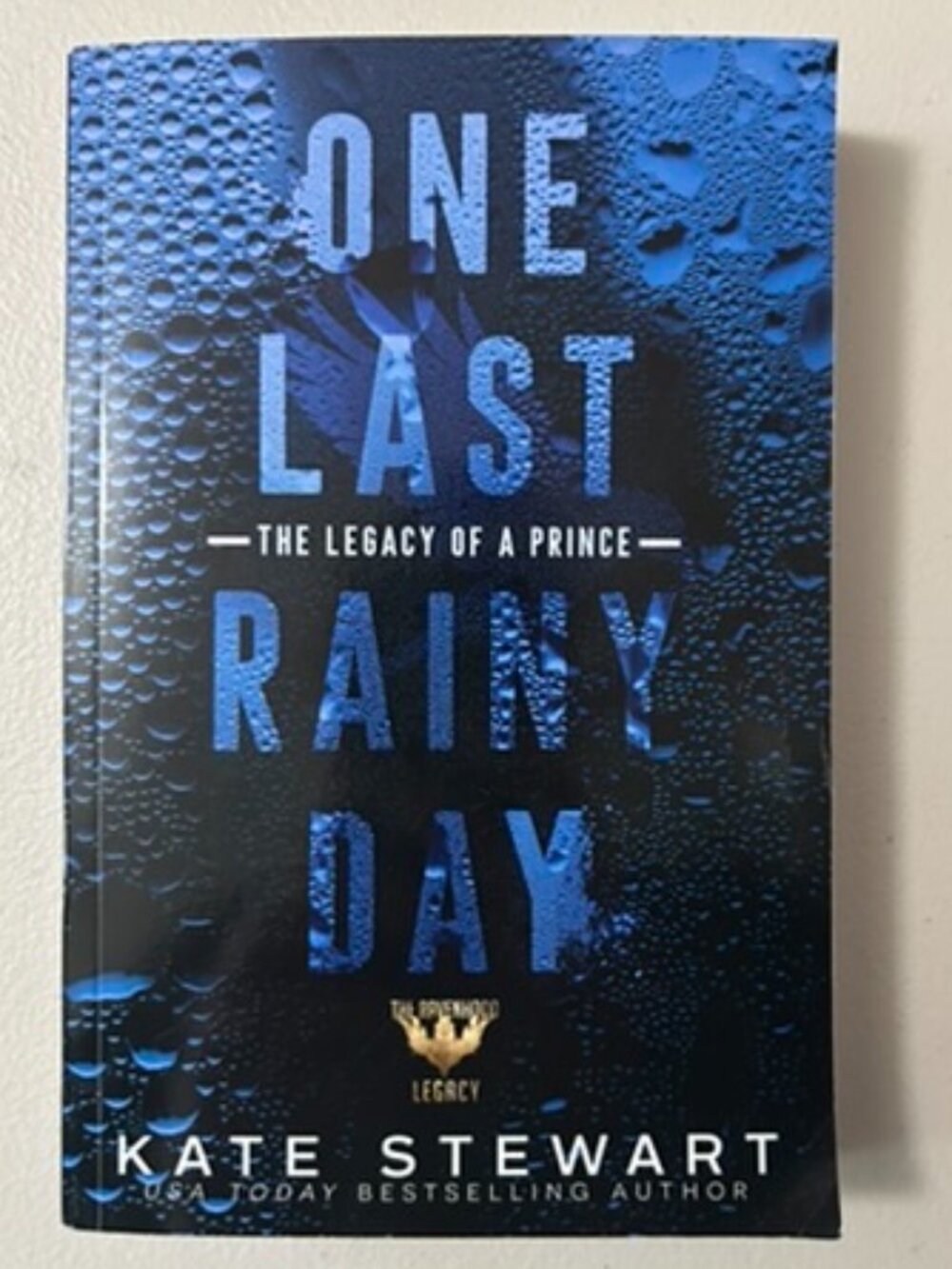 3 for $20 📚 | One Last Rainy Day by Kate Stewart | Indie Pub Version